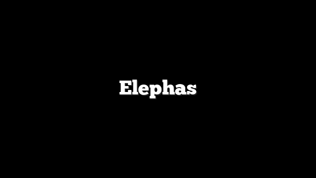 Elephas