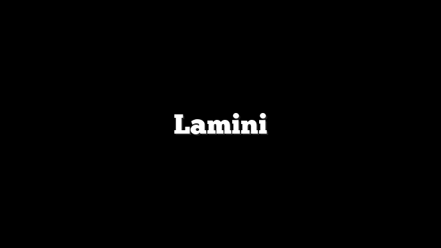 Lamini
